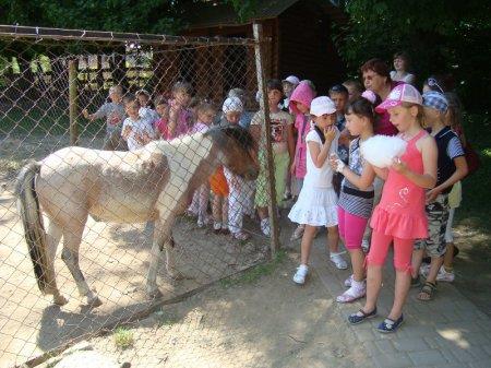 ЕКСКУРСІЯ
