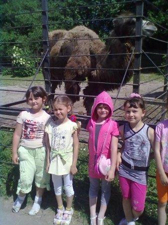 ЕКСКУРСІЯ