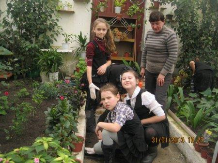 У шкільній теплиці