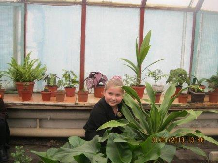 У шкільній теплиці