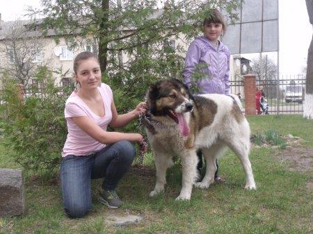 Виставка домашніх улюбленців
