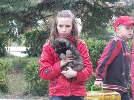 Виставка домашніх улюбленців