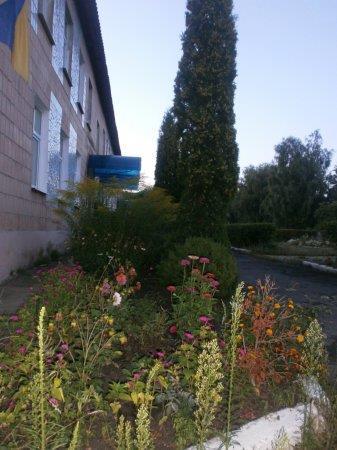 КОЛЕГІУМ У КВІТКОВОМУ РОЗМАЮ