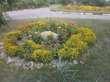 КОЛЕГІУМ У КВІТКОВОМУ РОЗМАЮ