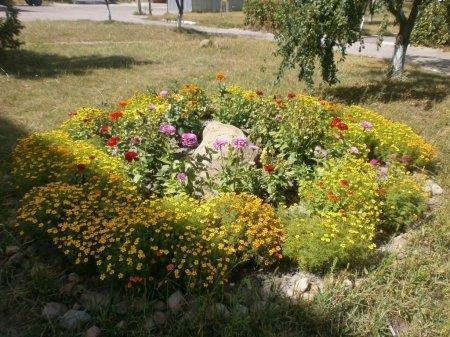 КОЛЕГІУМ У КВІТКОВОМУ РОЗМАЮ