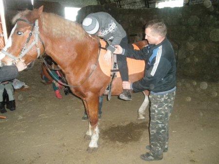 Курси по іпотерапії