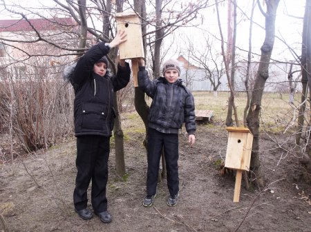 Зустріч перелітніх птахів