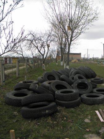 Стартували навчально-польові збори