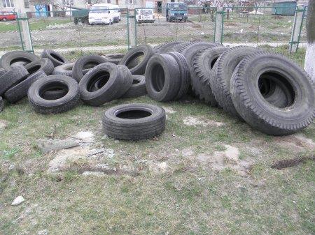 Стартували навчально-польові збори
