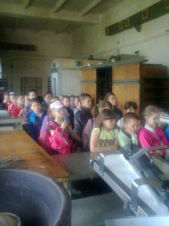 Навчальні екскурсії молодших школярів