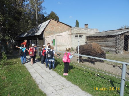 Поїздка до Луцька