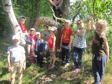 Екскурсія вузькоколійною залізницею