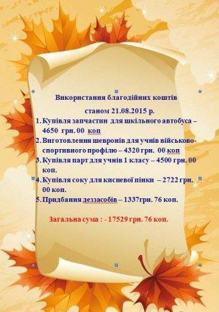 Звіт благодійного фонду «Діти Полісся» станом на 21.08.2015 р.