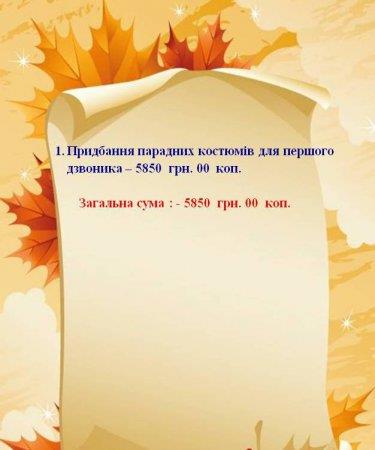 Звіт благодійного фонду «Діти Полісся» станом на 28.08.2015 р.