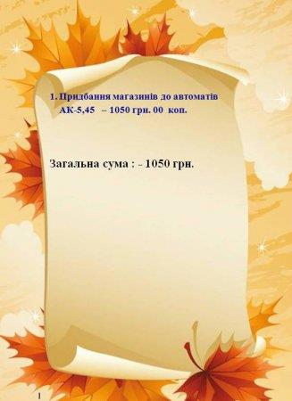 ЗВІТ БЛАГОДІЙНОГО ФОНДУ «ДІТИ ПОЛІССЯ» СТАНОМ НА 25.09.2015 Р