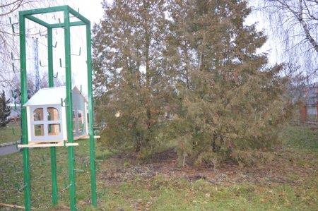 Екологічна акція "Годівничка" в колегіумі