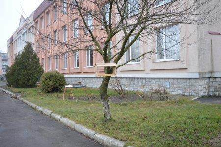 Екологічна акція "Годівничка" в колегіумі