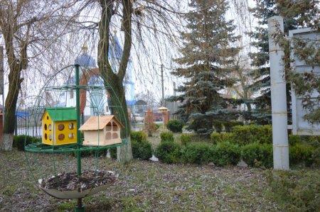 Екологічна акція "Годівничка" в колегіумі