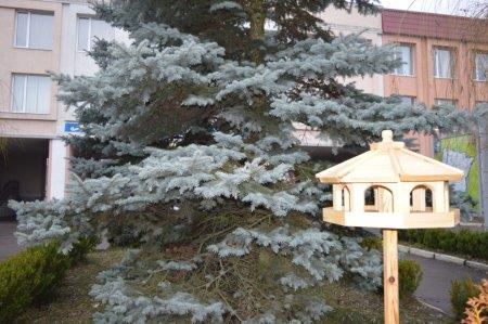 Екологічна акція "Годівничка" в колегіумі