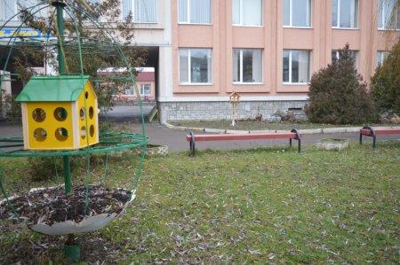 Екологічна акція "Годівничка" в колегіумі
