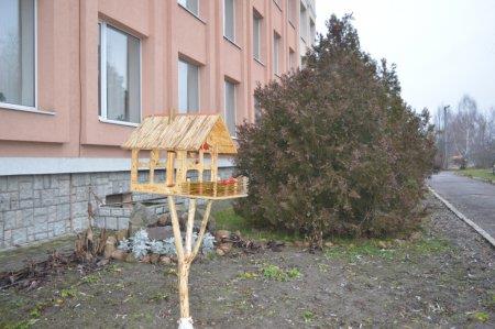 Екологічна акція "Годівничка" в колегіумі