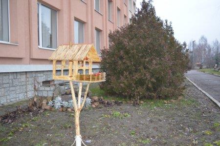 Екологічна акція "Годівничка" в колегіумі