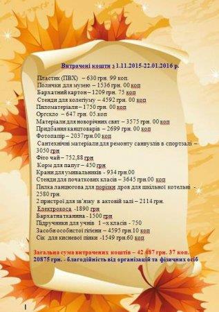 ЗВІТ БЛАГОДІЙНОГО ФОНДУ «ДІТИ ПОЛІССЯ» СТАНОМ НА 18.01.2016 Р