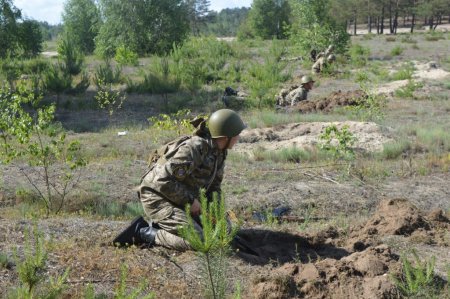Навчально-польові збори