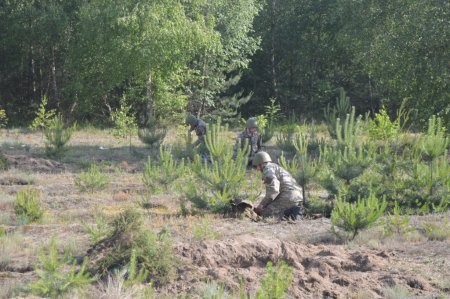 Навчально-польові збори