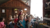 Оглядові екскурсії