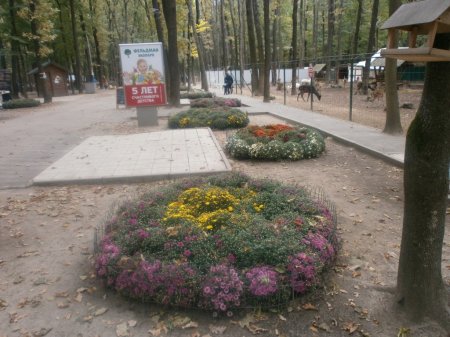 Перемога в конкурсі-гранті живих куточків