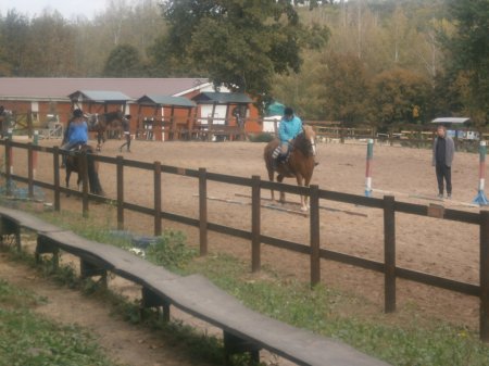 Перемога в конкурсі-гранті живих куточків