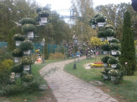Перемога в конкурсі-гранті живих куточків