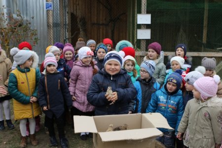 Нові мешканці "Пташиного царства"