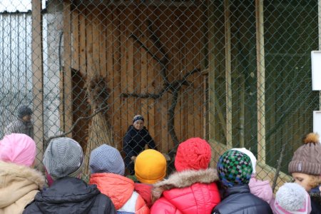 Нові мешканці "Пташиного царства"