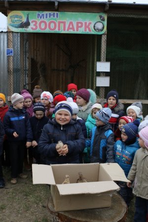 Нові мешканці "Пташиного царства"