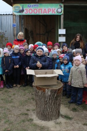 Нові мешканці "Пташиного царства"