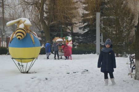 Добра справа для природи - «Годівнички для птахів»