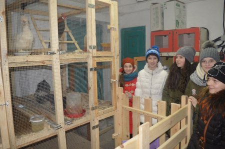 Заняття гуртка «Юний орнітолог»