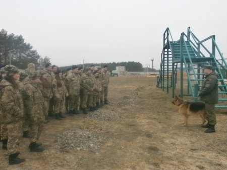 Навчально-польові збори