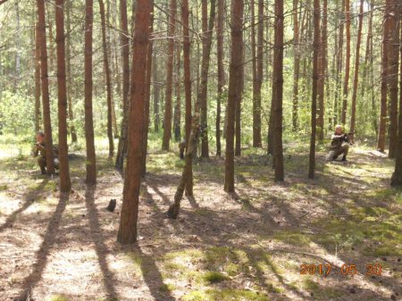 Навчально-польові збори
