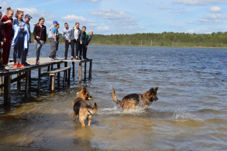 Воронки