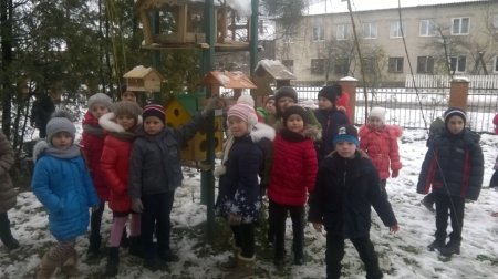 Допомога птахам