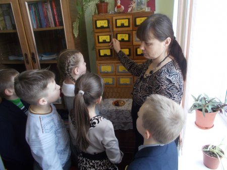 «Довідково – бібліографічний апарат шкільної бібліотеки»