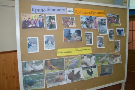 Захист проектів Захист проектів