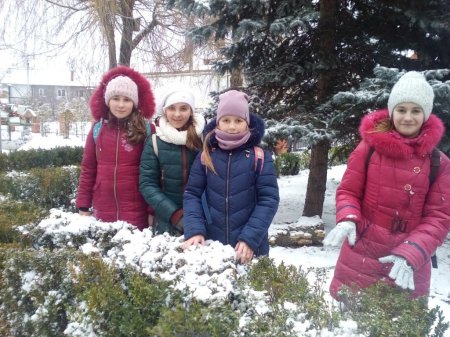 Зимові розваги
