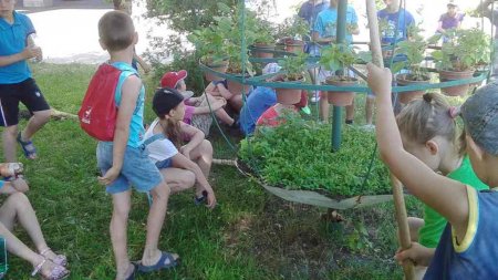 Навчальна практика та екскурсії в початковії школі