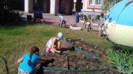 Навчальна практика та екскурсії в початковії школі