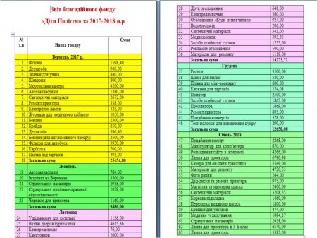 Звіт благодійного фонду за 2017-2018 н.р.