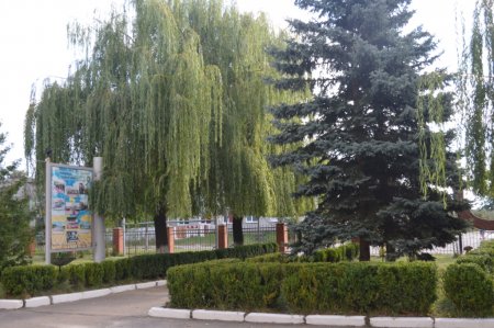 ОГЛЯД ЗАКЛАДУ